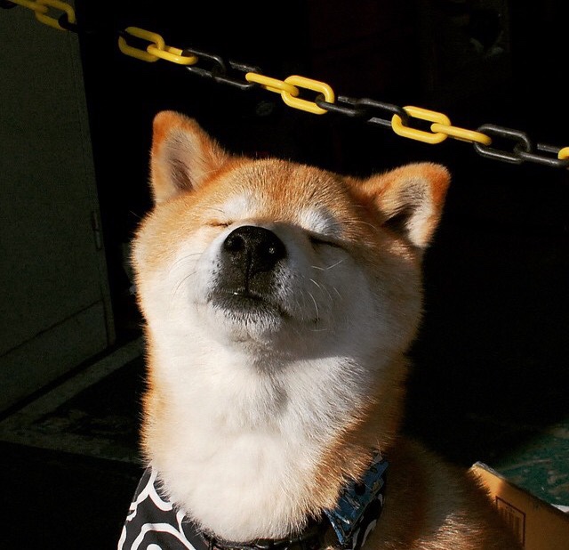 九游娱乐首页-冰岛硬仗取胜委内瑞拉，卡拉斯科全程高能的战术奇迹